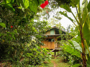 An outside view of the up in the hill Eco Lodge in Panama.